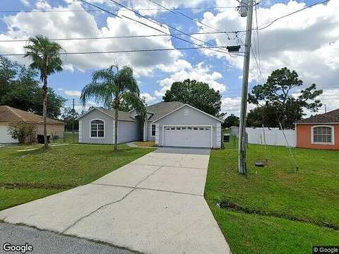Platypus, KISSIMMEE, FL 34759