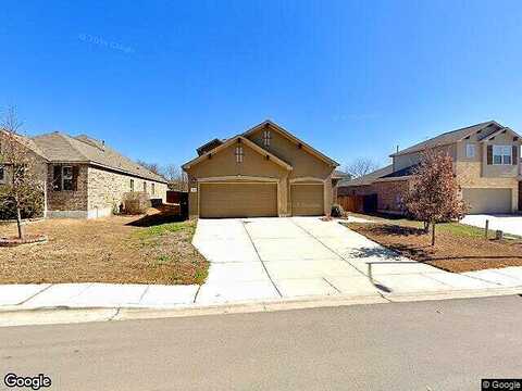 Snow Goose, NEW BRAUNFELS, TX 78130