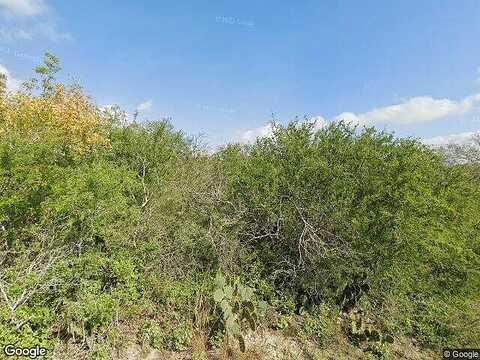 Pr 1080, Mathis, TX 78368