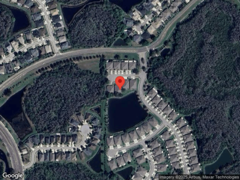 Barred Owl, LAND O LAKES, FL 34638