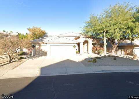 Desert Broom, PHOENIX, AZ 85048