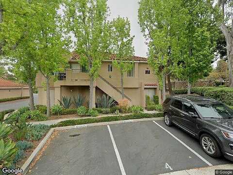 Cinnamon Teal, ALISO VIEJO, CA 92656