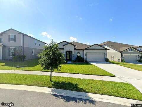 Ibis Grove, WESLEY CHAPEL, FL 33545