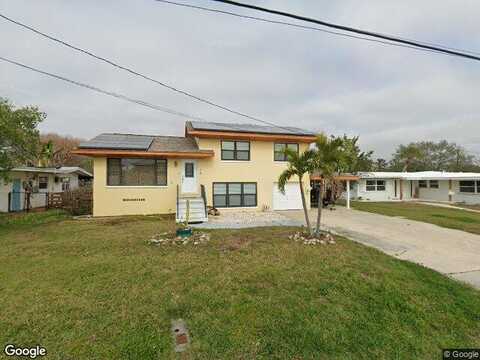 Palm, DUNEDIN, FL 34698