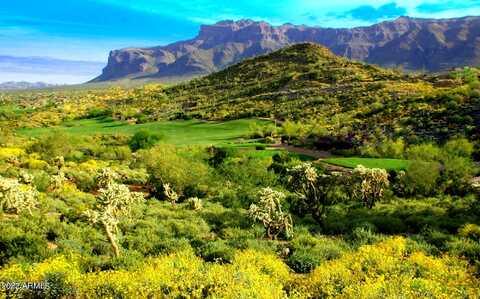 Eloisa, GOLD CANYON, AZ 85118