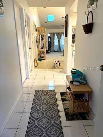 Oak, TARPON SPRINGS, FL 34689