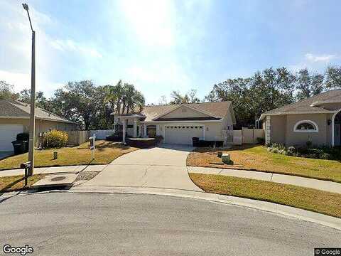 Dana, SAFETY HARBOR, FL 34695
