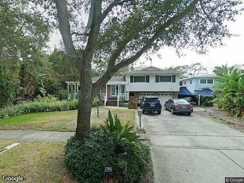 Jungle, SAINT PETERSBURG, FL 33710