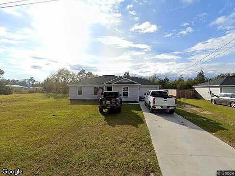 Persimmon, LUDOWICI, GA 31316