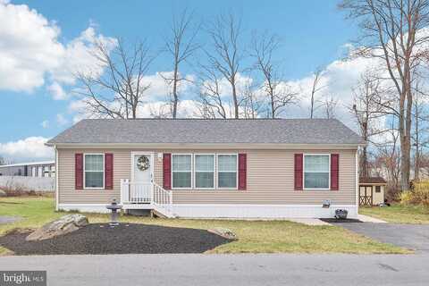 Laurel Ter, Quakertown, PA 18951