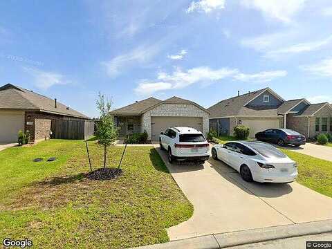 Larkspur Shadow, MAGNOLIA, TX 77354