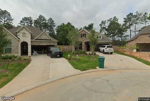 Winged Elm, WILLIS, TX 77318