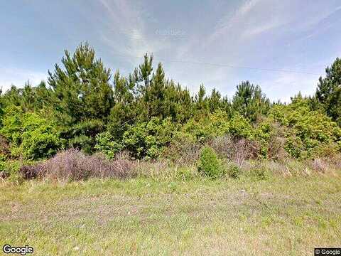 Manningtown Road, Jesup, GA 31546