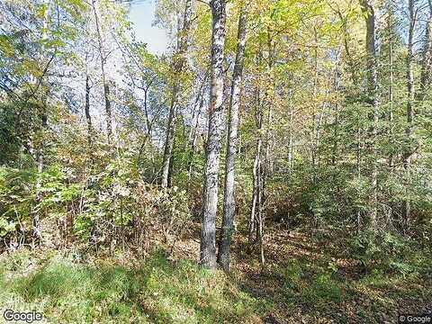 County Road 117, INTERNATIONAL FALLS, MN 56649