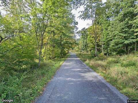 Black Log Rd, Orbisonia, PA 17243