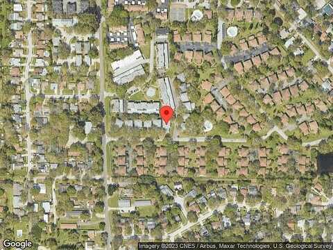 Lichen, CLEARWATER, FL 33760