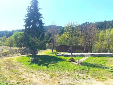Rickey Canyon, RICE, WA 99167