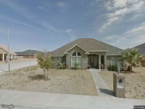 Pecan, ANDREWS, TX 79714