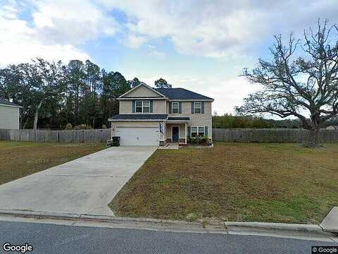 Ne Dove Run Rd, Ludowici, GA 31316