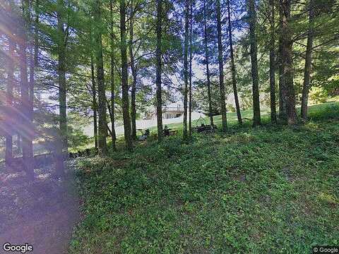 Stag, HILLSVILLE, VA 24343