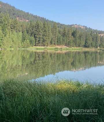 Woodland Dr, Republic, WA 99166
