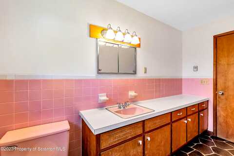 Tulip, CLARKS SUMMIT, PA 18411