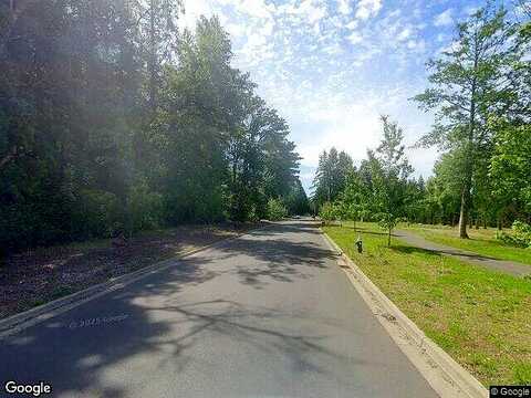 Shore Pine Lot 13 Ln, Blaine, WA 98230