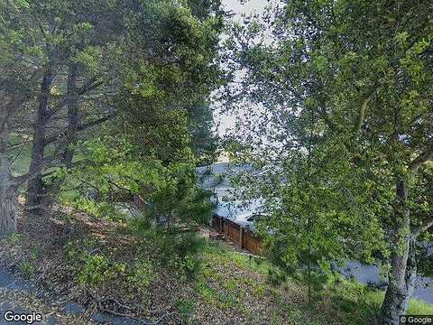 Pine Tree, AROMAS, CA 95004