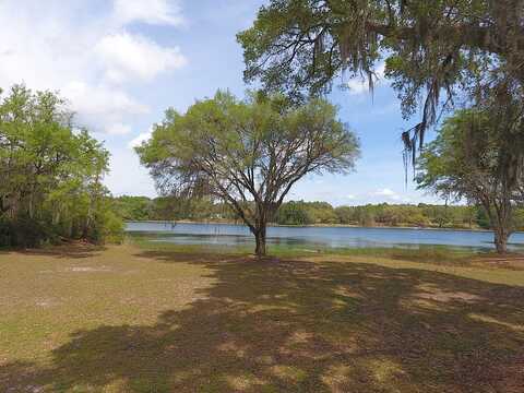 Willow, HAWTHORNE, FL 32640