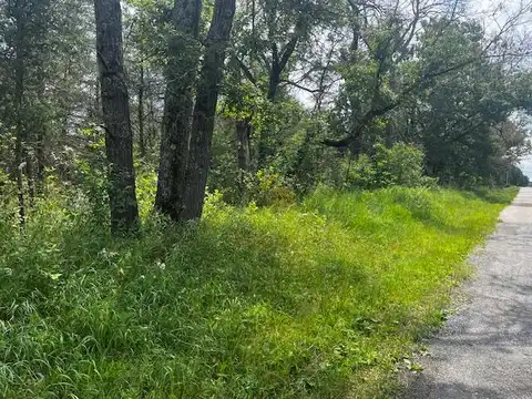 Nelson, IDLEWILD, MI 49642