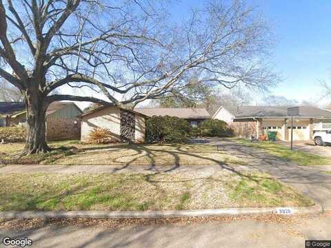Tanager, HOUSTON, TX 77036