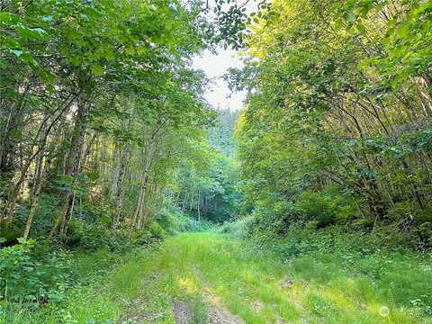 Sr-4, Cathlamet, WA 98612