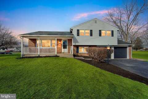 Spruce, GILBERTSVILLE, PA 19525