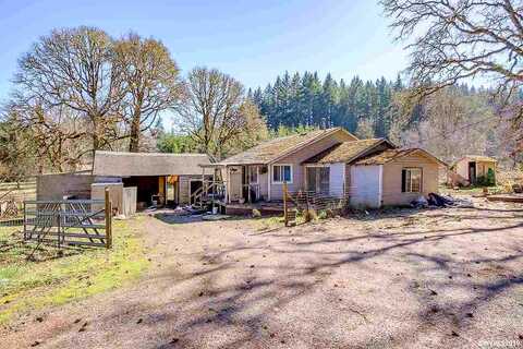 Highway 228, SWEET HOME, OR 97386