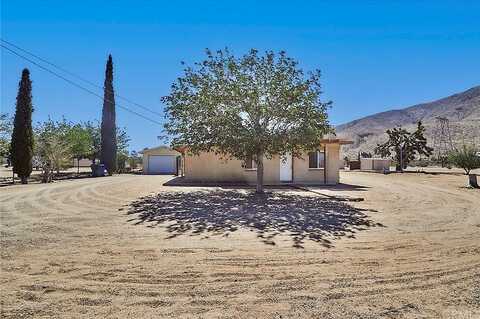 Joshua, APPLE VALLEY, CA 92308