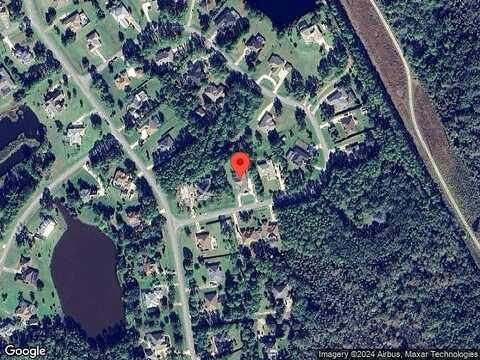Green Turtle, MIMS, FL 32754