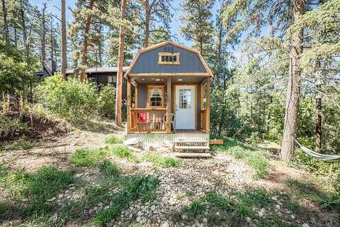 Pine, BEULAH, CO 81023