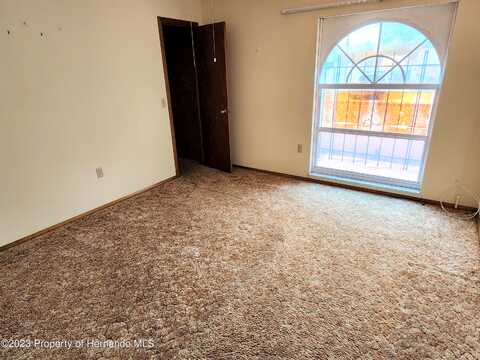 Caretta, SPRING HILL, FL 34609
