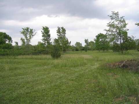 Geneva, COTTAGE GROVE, MN 55016