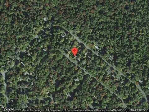 Grasshopper, TOBYHANNA, PA 18466