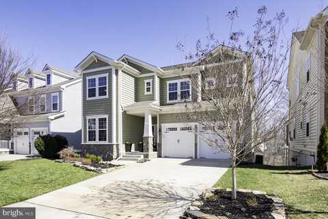 Verbena, STAFFORD, VA 22554