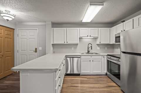 Lake, CHANHASSEN, MN 55317