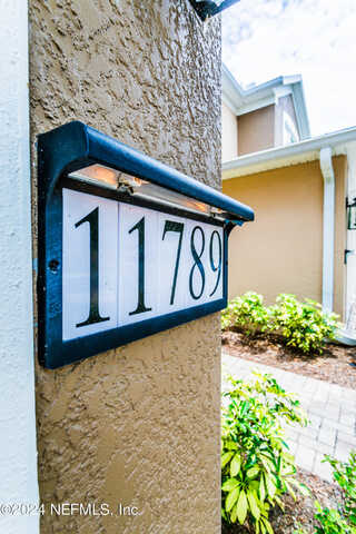 Surfbird, JACKSONVILLE, FL 32256