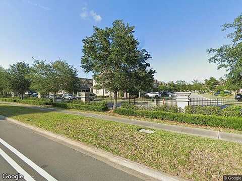 Butterfly, JACKSONVILLE, FL 32258