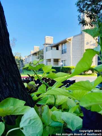 Braesview, SAN ANTONIO, TX 78213
