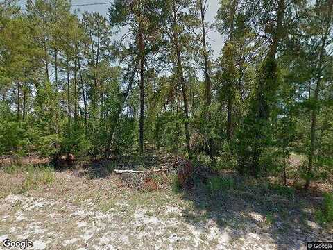 Grass, HOMOSASSA, FL 34446