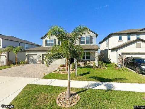 King Fern, WIMAUMA, FL 33598
