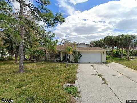 Porpoise, VENICE, FL 34293