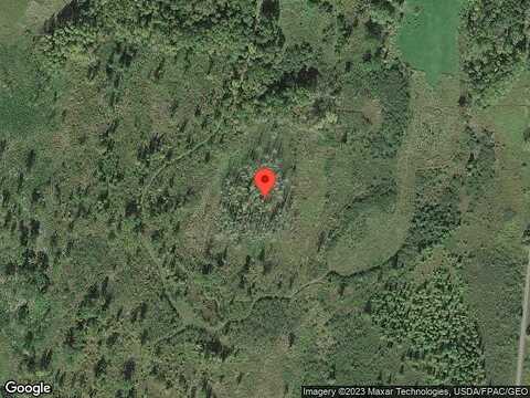 Green Pine, SANDSTONE, MN 55072
