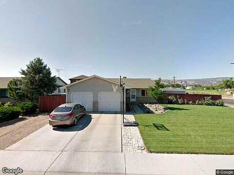Sunflower, FRUITA, CO 81521